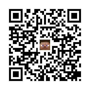 skins.qr_code_alt