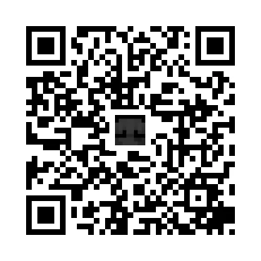 skins.qr_code_alt