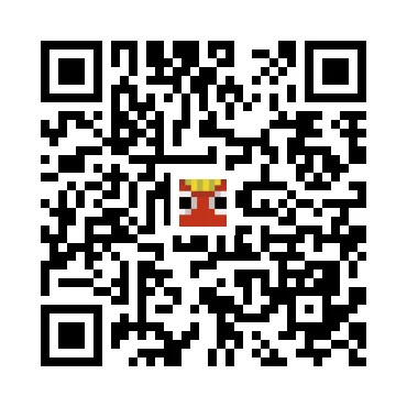 skins.qr_code_alt