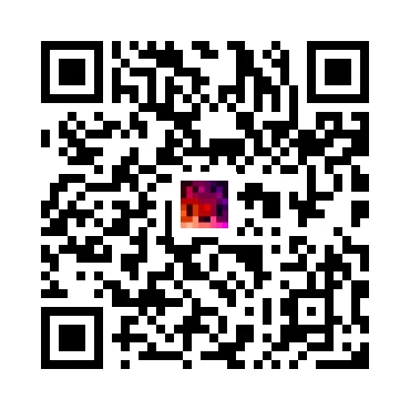 skins.qr_code_alt