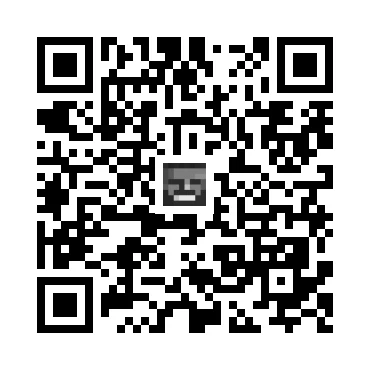 skins.qr_code_alt