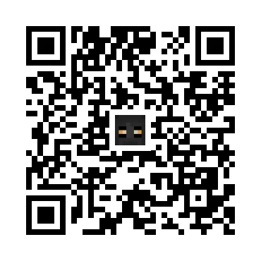 skins.qr_code_alt
