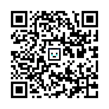 skins.qr_code_alt