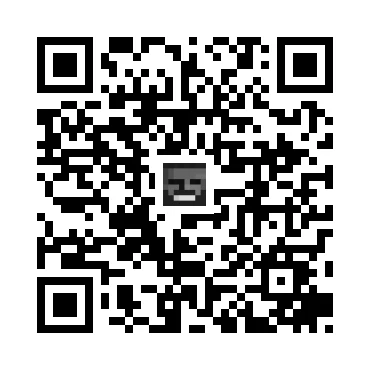 skins.qr_code_alt