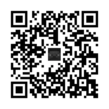 skins.qr_code_alt