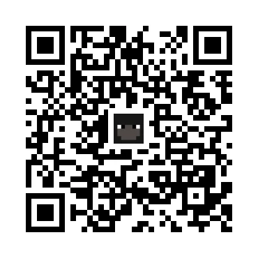 skins.qr_code_alt