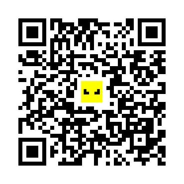 skins.qr_code_alt