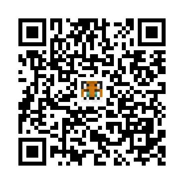 skins.qr_code_alt