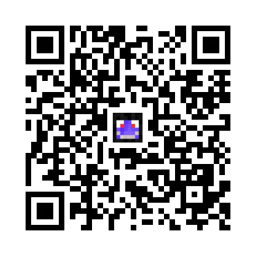 skins.qr_code_alt