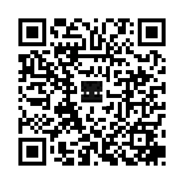 skins.qr_code_alt