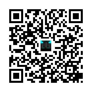 skins.qr_code_alt