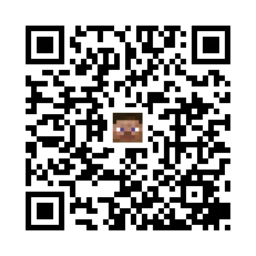 skins.qr_code_alt