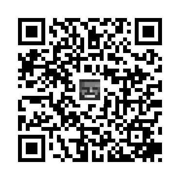 skins.qr_code_alt