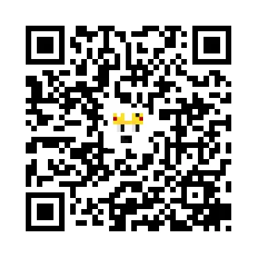 skins.qr_code_alt