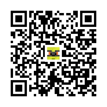 skins.qr_code_alt