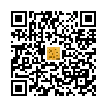 skins.qr_code_alt