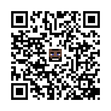 skins.qr_code_alt