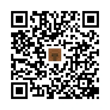 skins.qr_code_alt