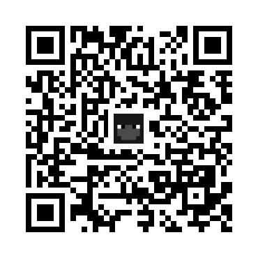 skins.qr_code_alt