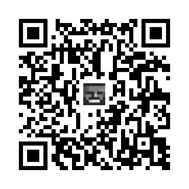 skins.qr_code_alt