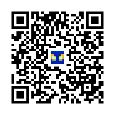 skins.qr_code_alt