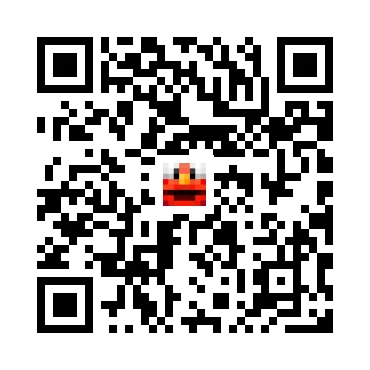 skins.qr_code_alt