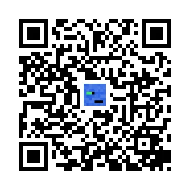 skins.qr_code_alt