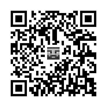 skins.qr_code_alt