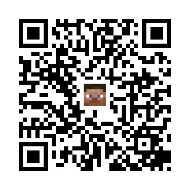 skins.qr_code_alt