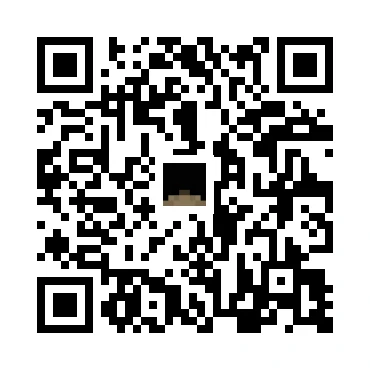 skins.qr_code_alt