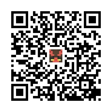 skins.qr_code_alt