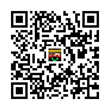 skins.qr_code_alt