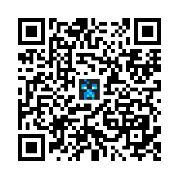 skins.qr_code_alt
