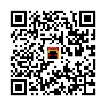 skins.qr_code_alt
