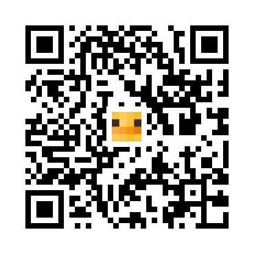 skins.qr_code_alt