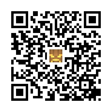 skins.qr_code_alt