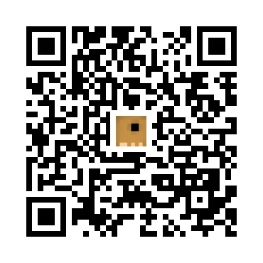 skins.qr_code_alt