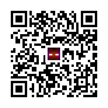 skins.qr_code_alt