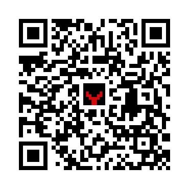 skins.qr_code_alt