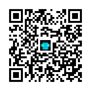 skins.qr_code_alt