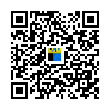 skins.qr_code_alt