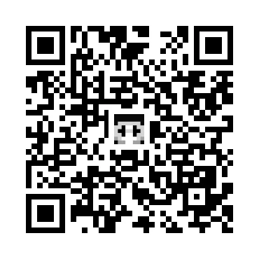 skins.qr_code_alt