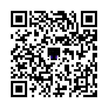 skins.qr_code_alt