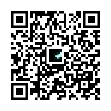 skins.qr_code_alt