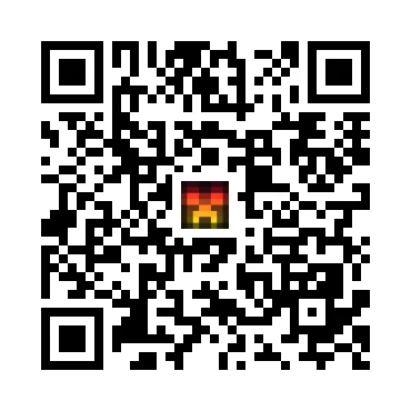 skins.qr_code_alt