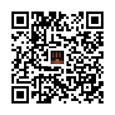 skins.qr_code_alt