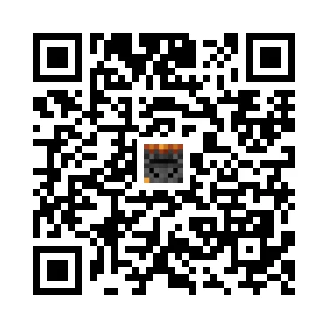 skins.qr_code_alt