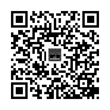 skins.qr_code_alt
