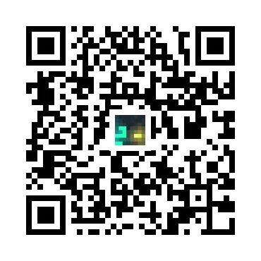 skins.qr_code_alt