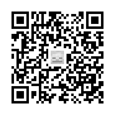 skins.qr_code_alt